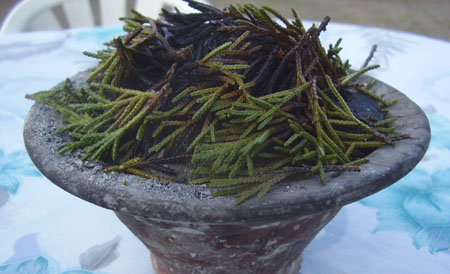 Solo Female Trekking in Nepal 